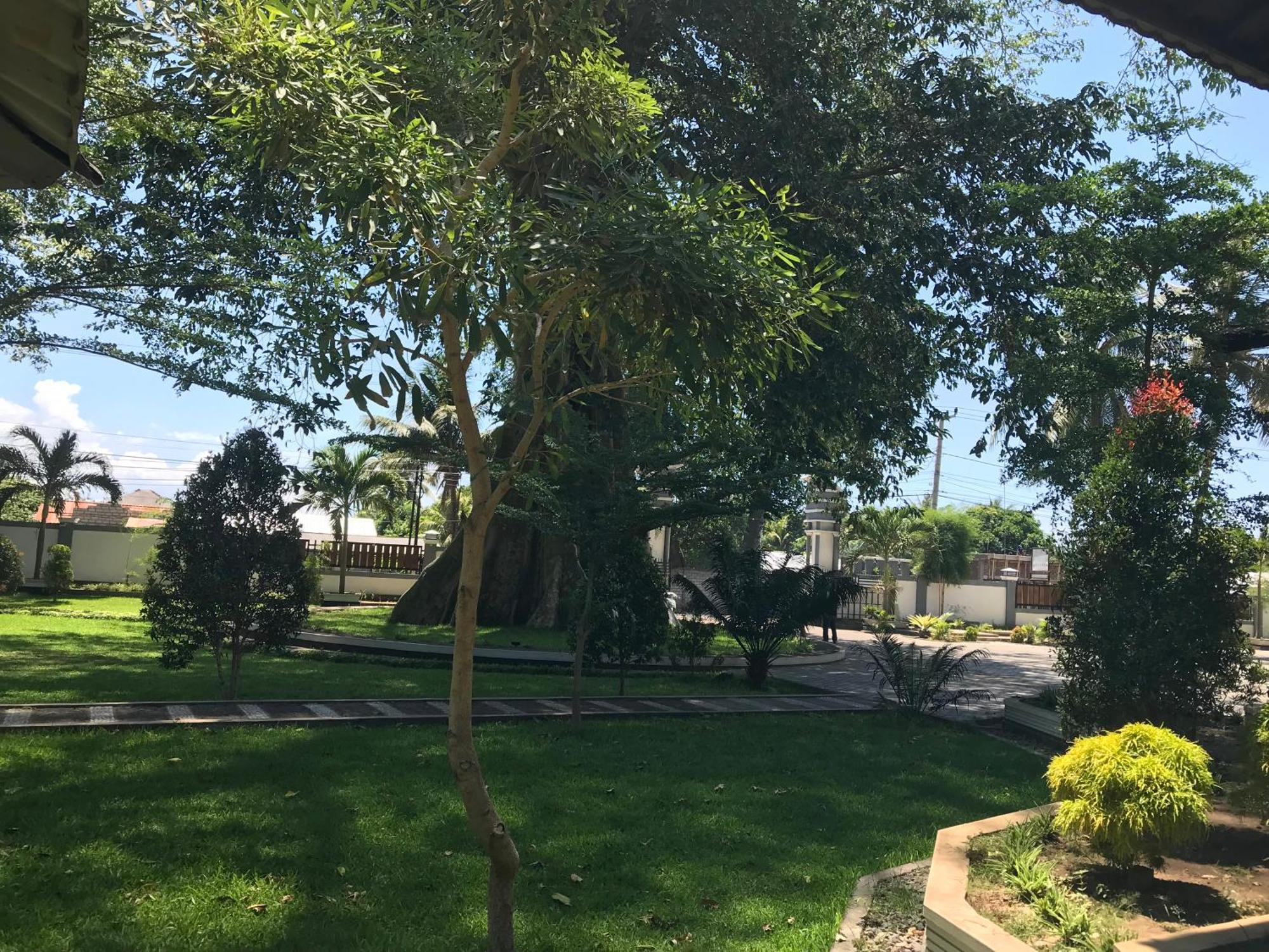 Labuhan Pandan Pohon Purba Resort & Restaurant מראה חיצוני תמונה
