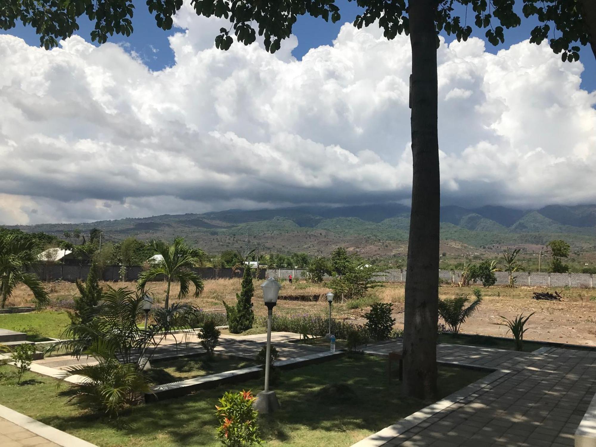 Labuhan Pandan Pohon Purba Resort & Restaurant מראה חיצוני תמונה