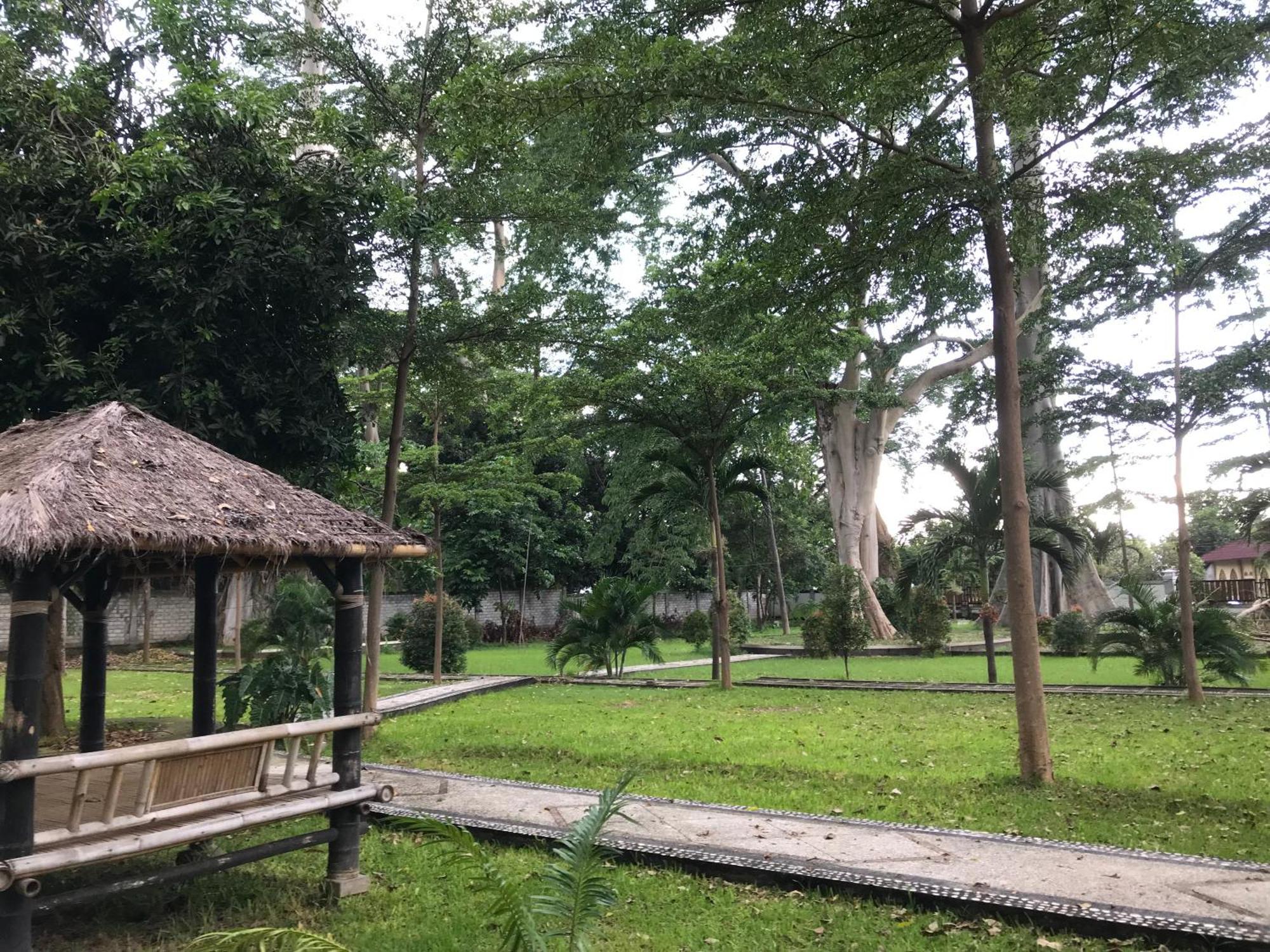 Labuhan Pandan Pohon Purba Resort & Restaurant מראה חיצוני תמונה