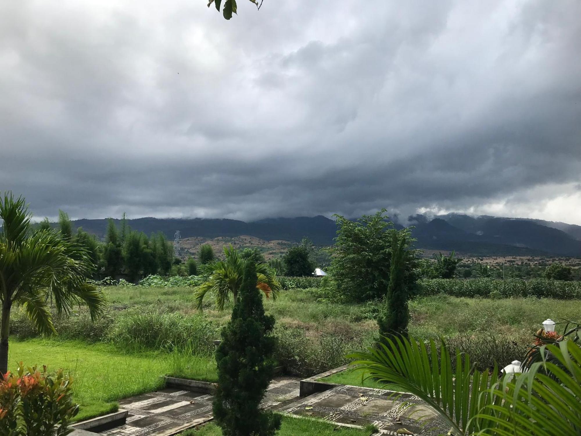 Labuhan Pandan Pohon Purba Resort & Restaurant מראה חיצוני תמונה