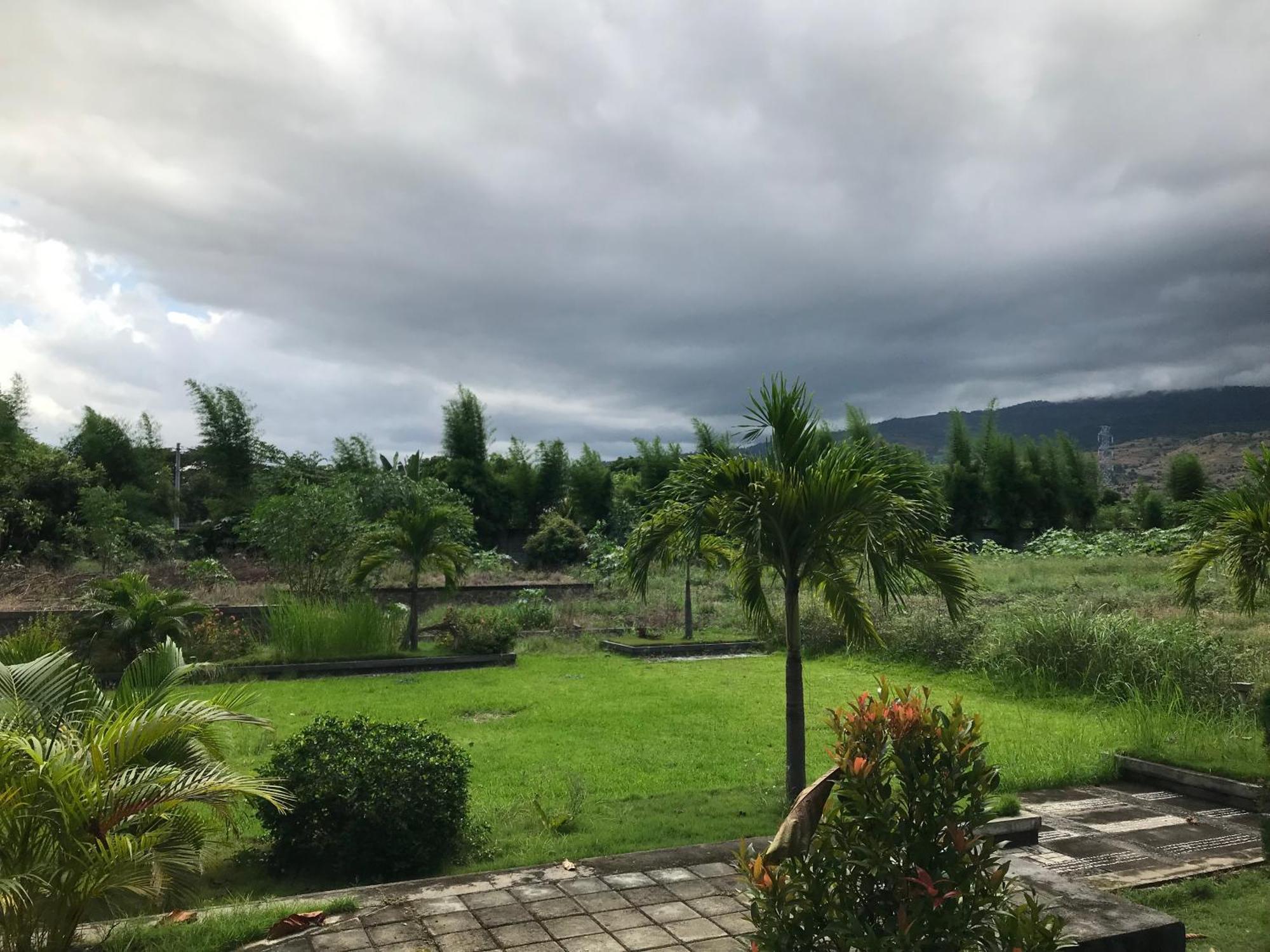 Labuhan Pandan Pohon Purba Resort & Restaurant מראה חיצוני תמונה