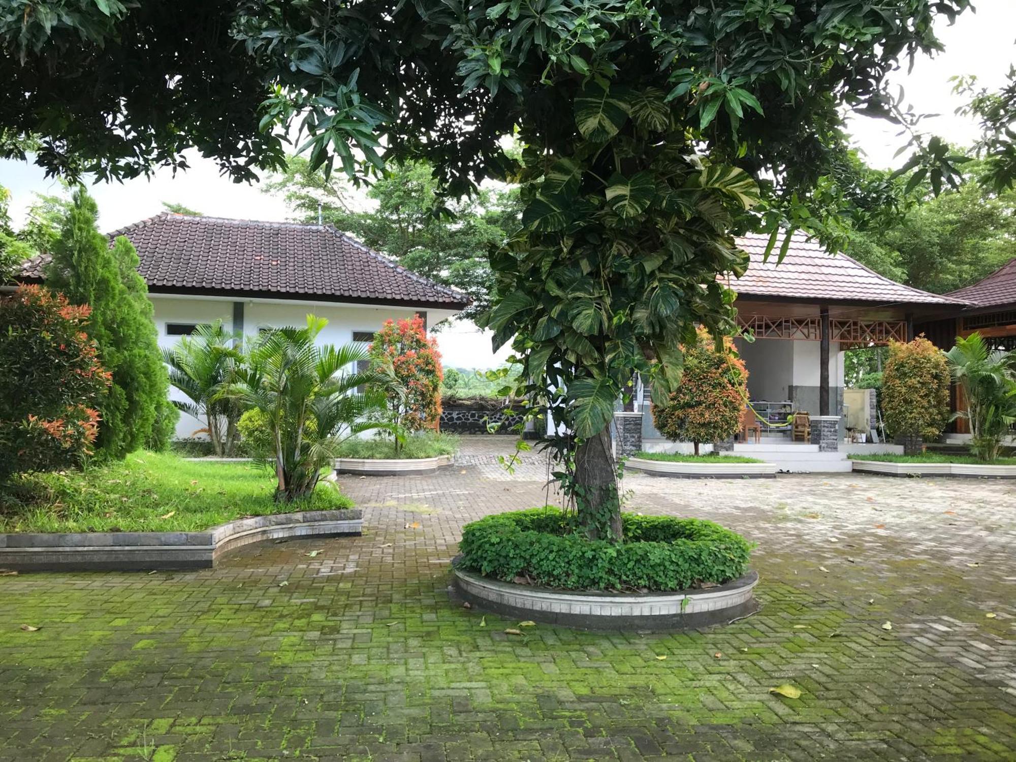 Labuhan Pandan Pohon Purba Resort & Restaurant מראה חיצוני תמונה
