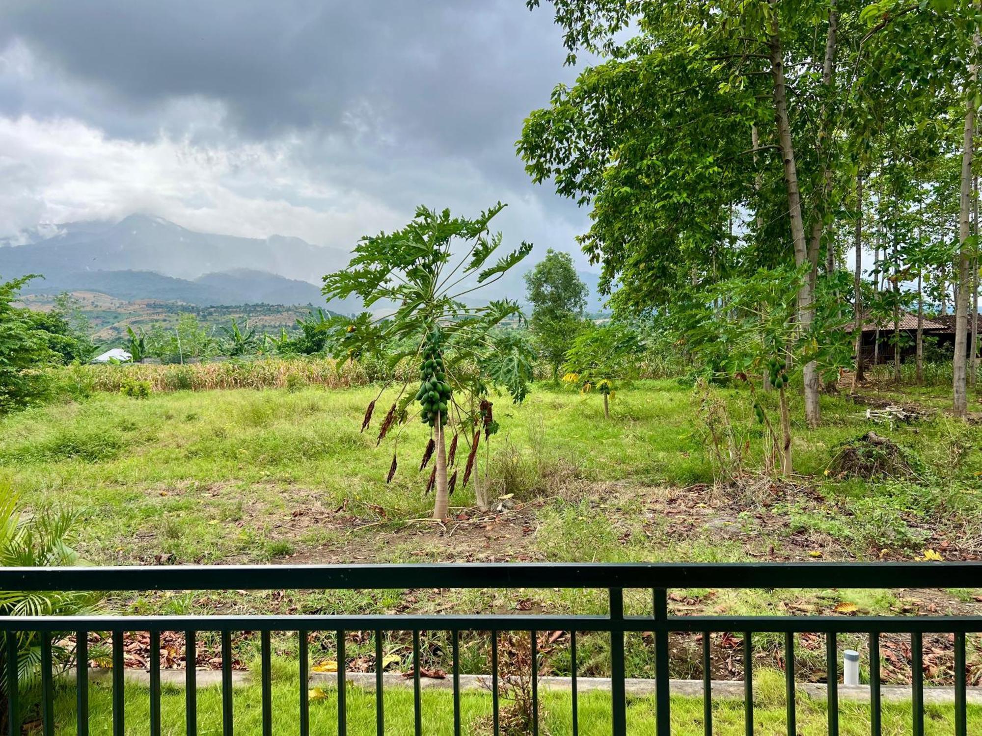 Labuhan Pandan Pohon Purba Resort & Restaurant מראה חיצוני תמונה