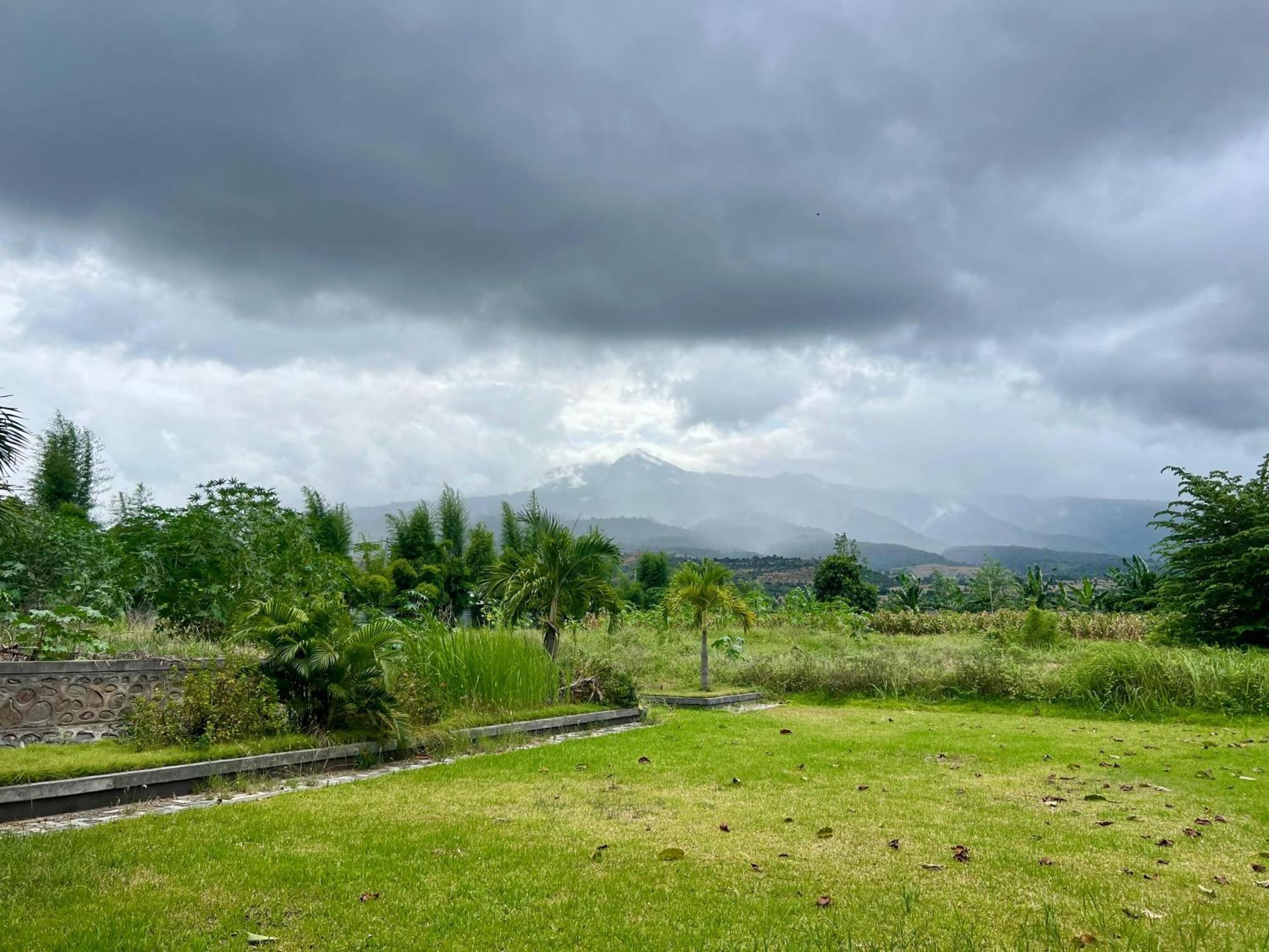 Labuhan Pandan Pohon Purba Resort & Restaurant מראה חיצוני תמונה
